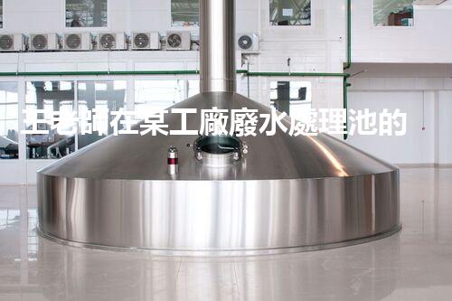 王老師在某工廠廢水處理池的驚人發(fā)現(xiàn)！